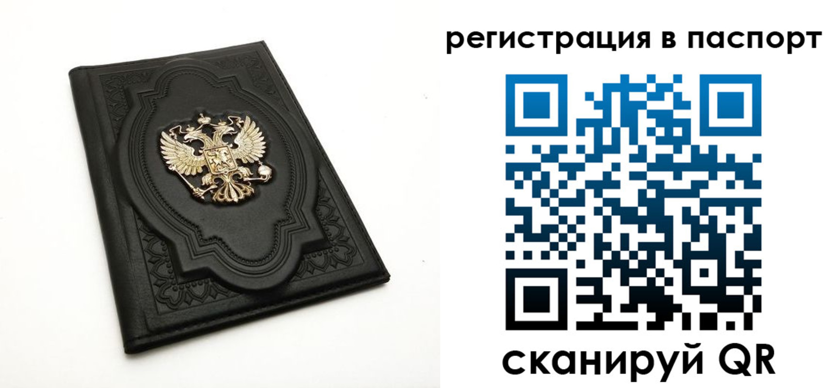 прописка регистрация в Александровске