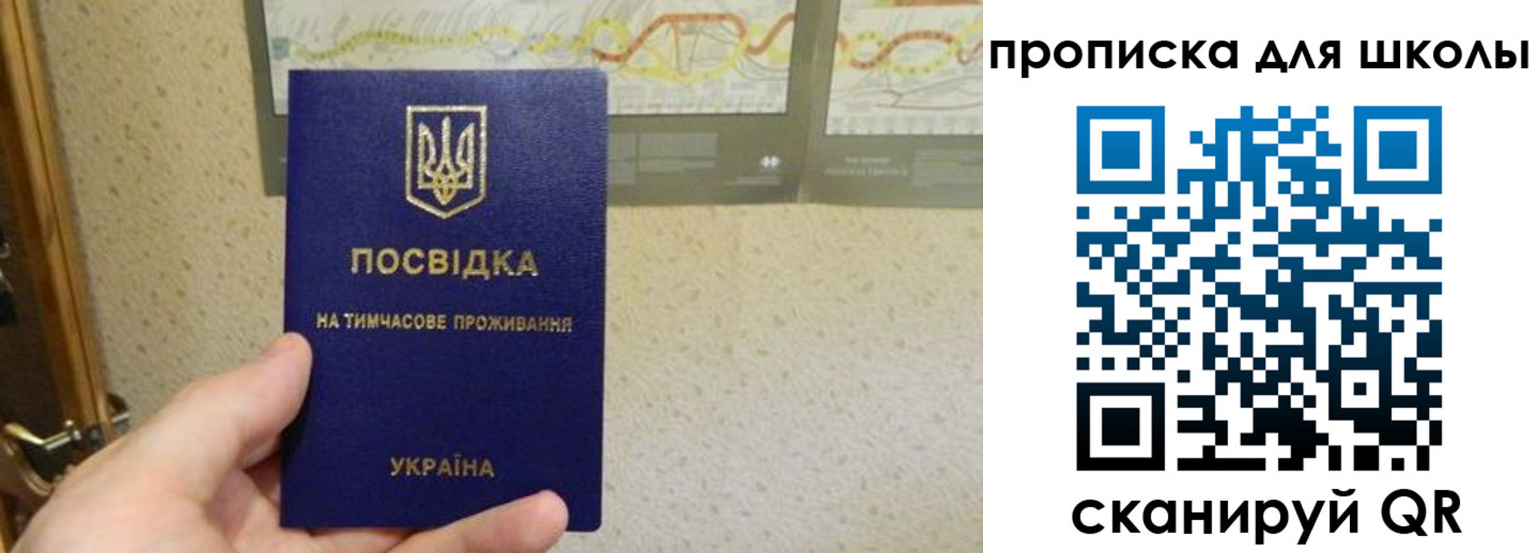 найти адрес прописки в Александровске
